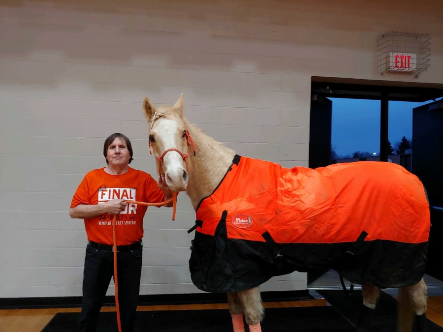horse wearing an orange blanket and a man